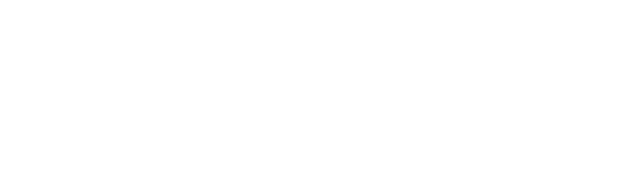 logo-transparente-white